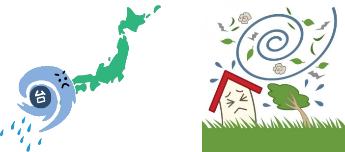 台風について